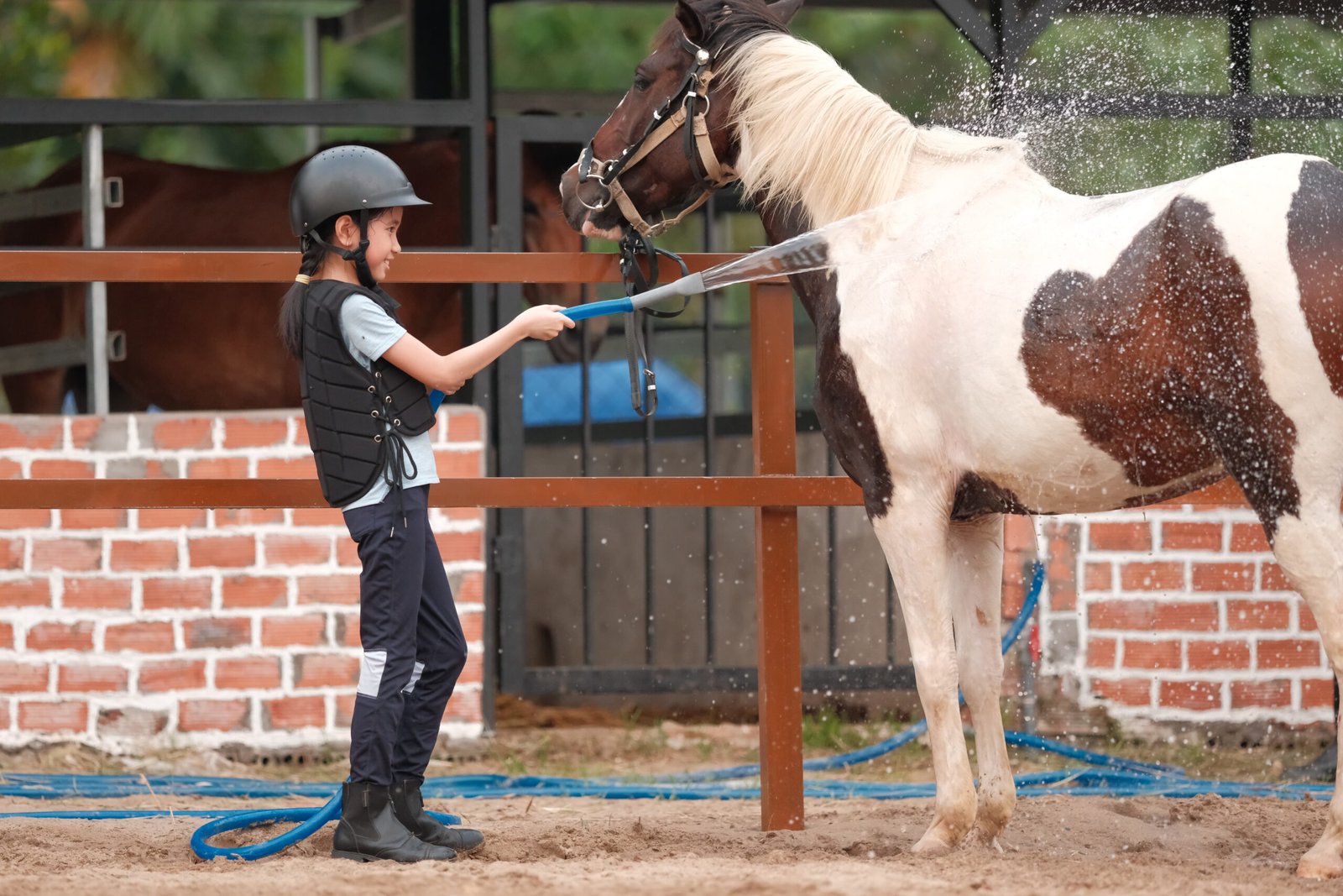 Khoảnh khắc tại Cavallo